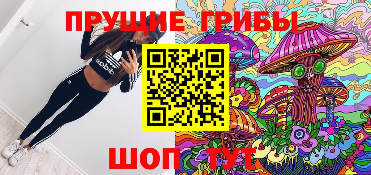 Псилоцибиновые грибы Psilocybe  Вход с VPN  Сегежа  Галлюциногенные грибы GOLDEN TEACHER 